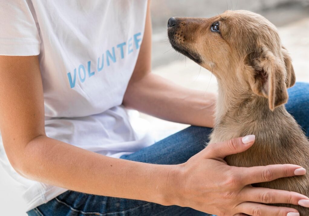 Volunteer with a dog